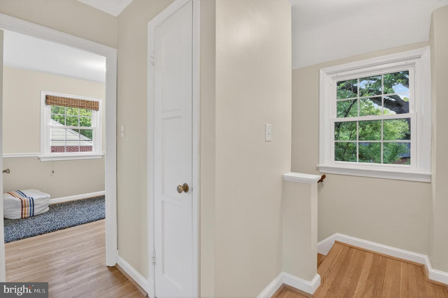 202 Baden Street photo 17