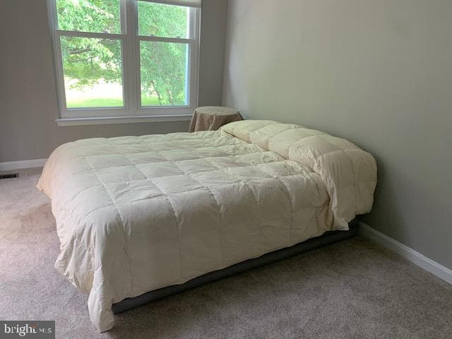 2621 Telluride Place photo 103