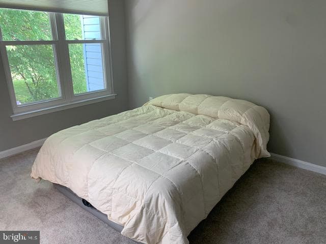 2621 Telluride Place photo 106