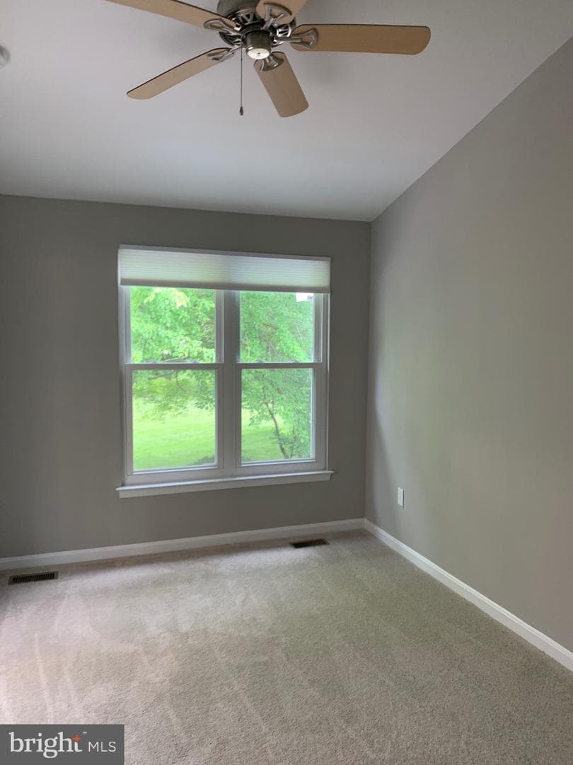 2621 Telluride Place photo 76