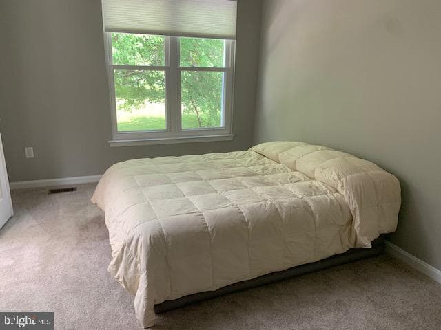 2621 Telluride Place photo 97
