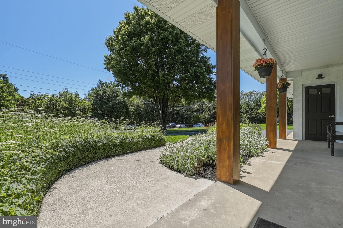 25904 Reva Drive photo 3