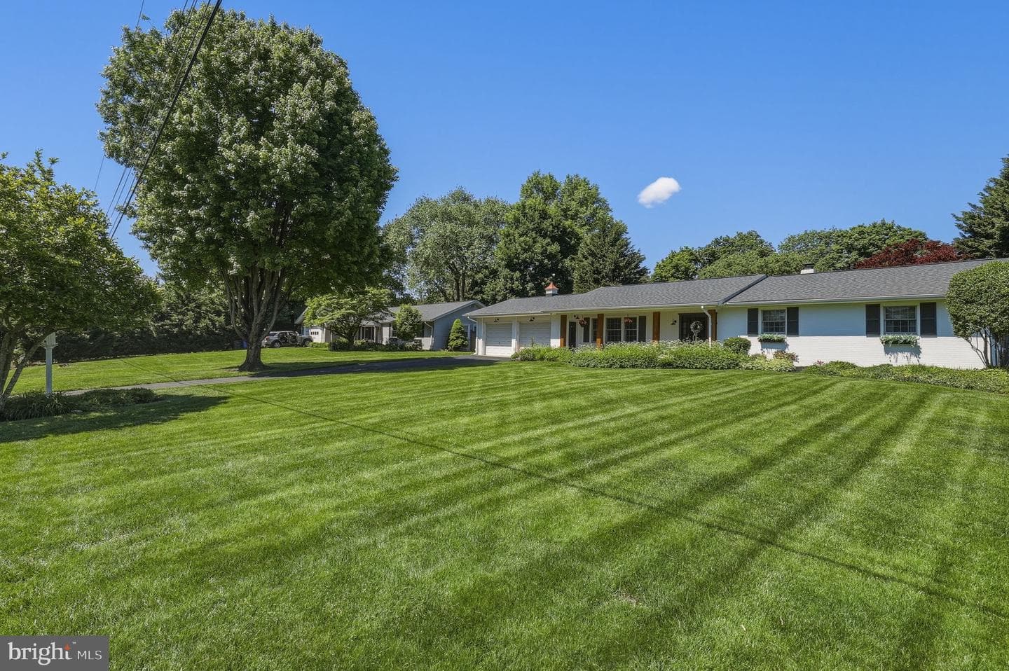 25904 Reva Drive photo 4