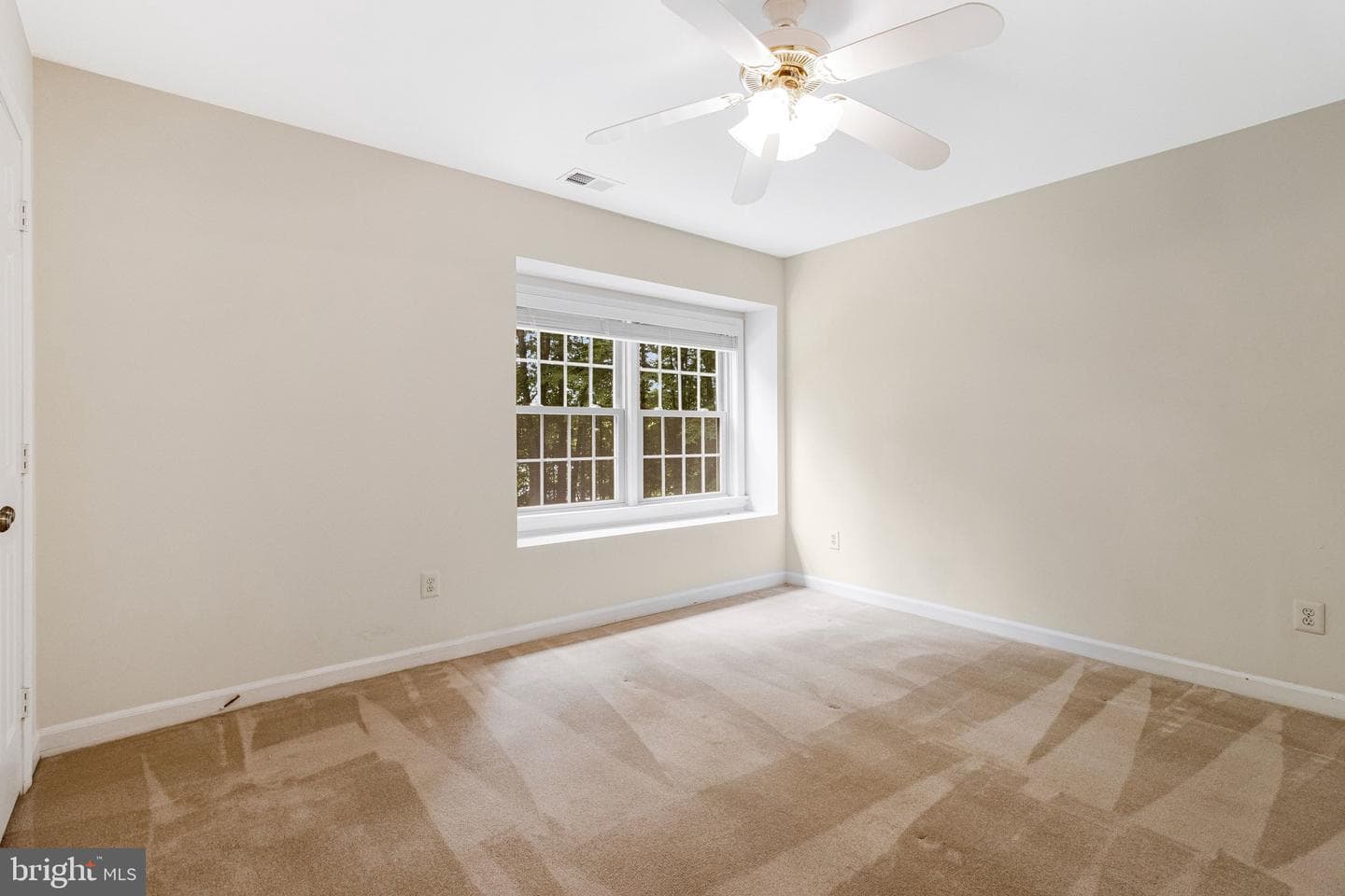 10009 New London Drive photo 58