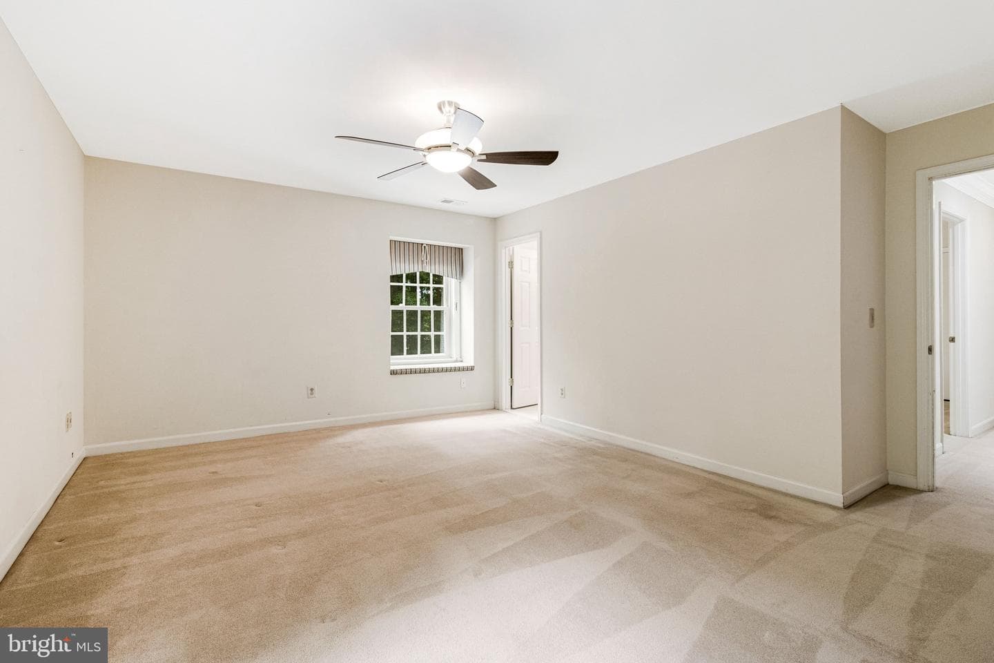 10009 New London Drive photo 68