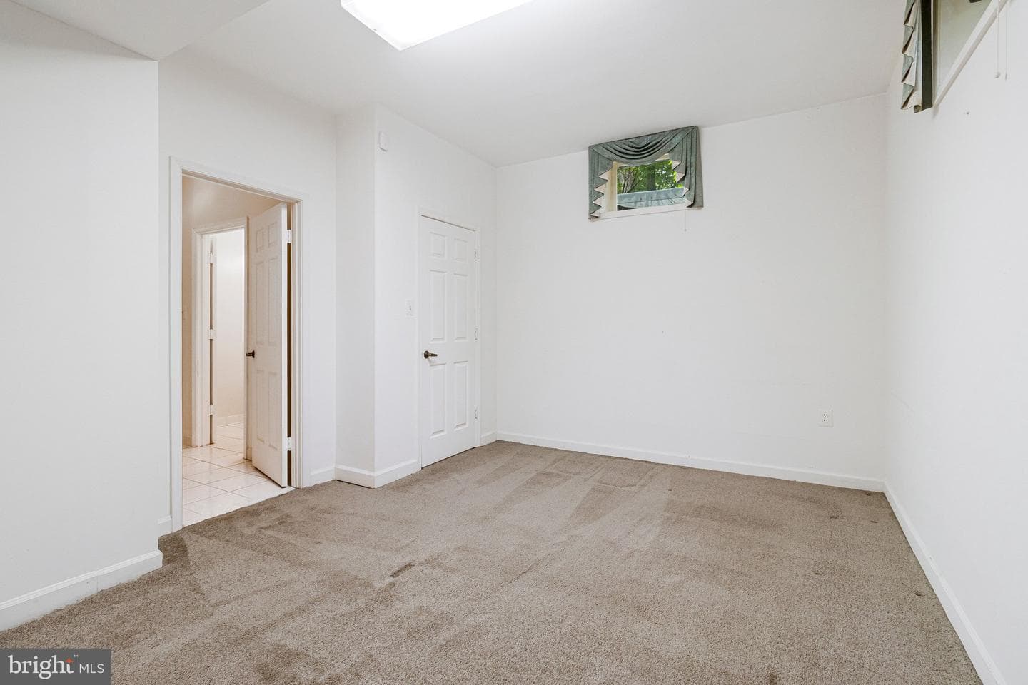 10009 New London Drive photo 81