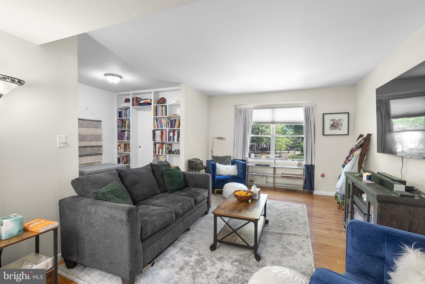 19102 Clover Meadow Place photo 5