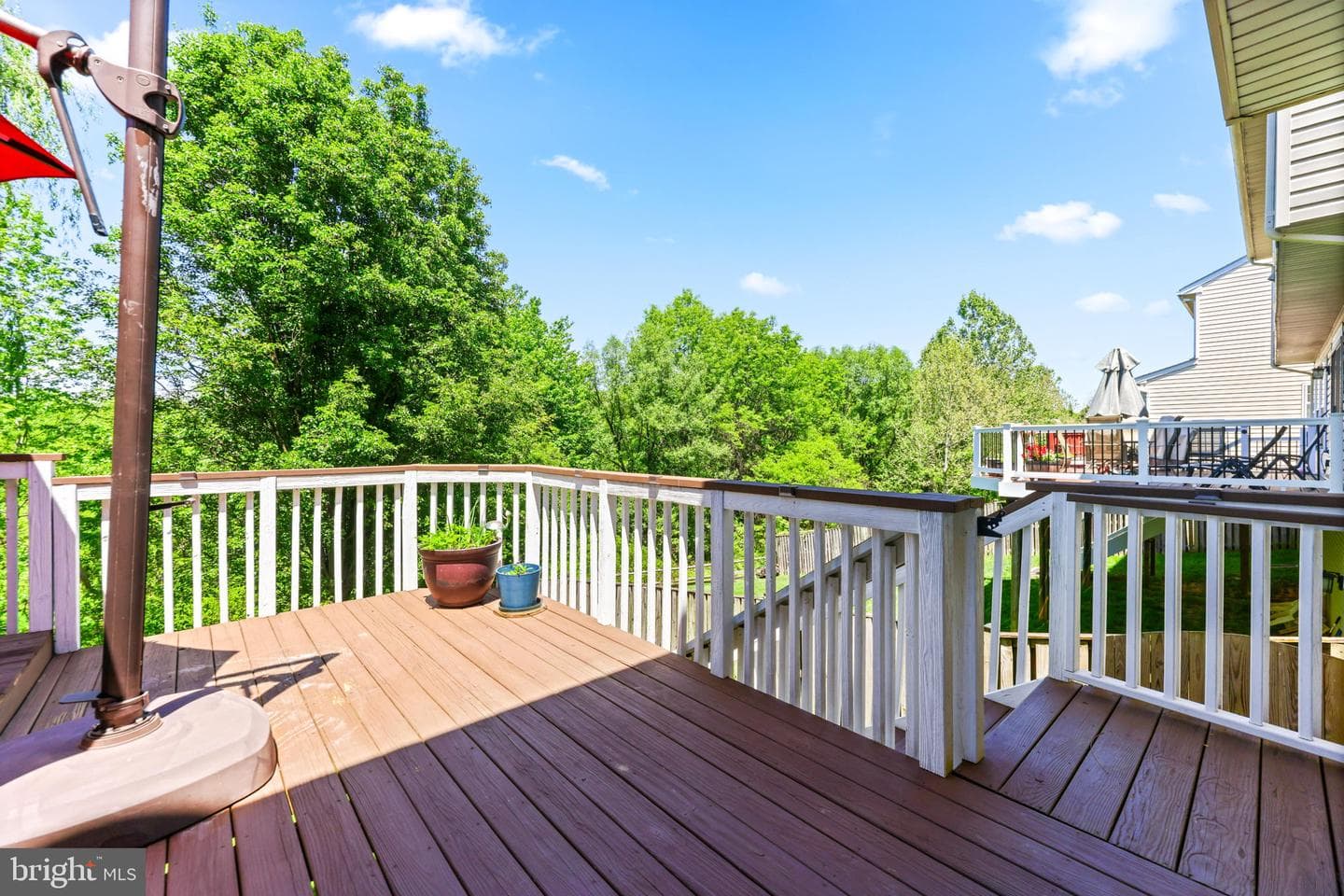 20614 Summer Sweet Terrace photo 54