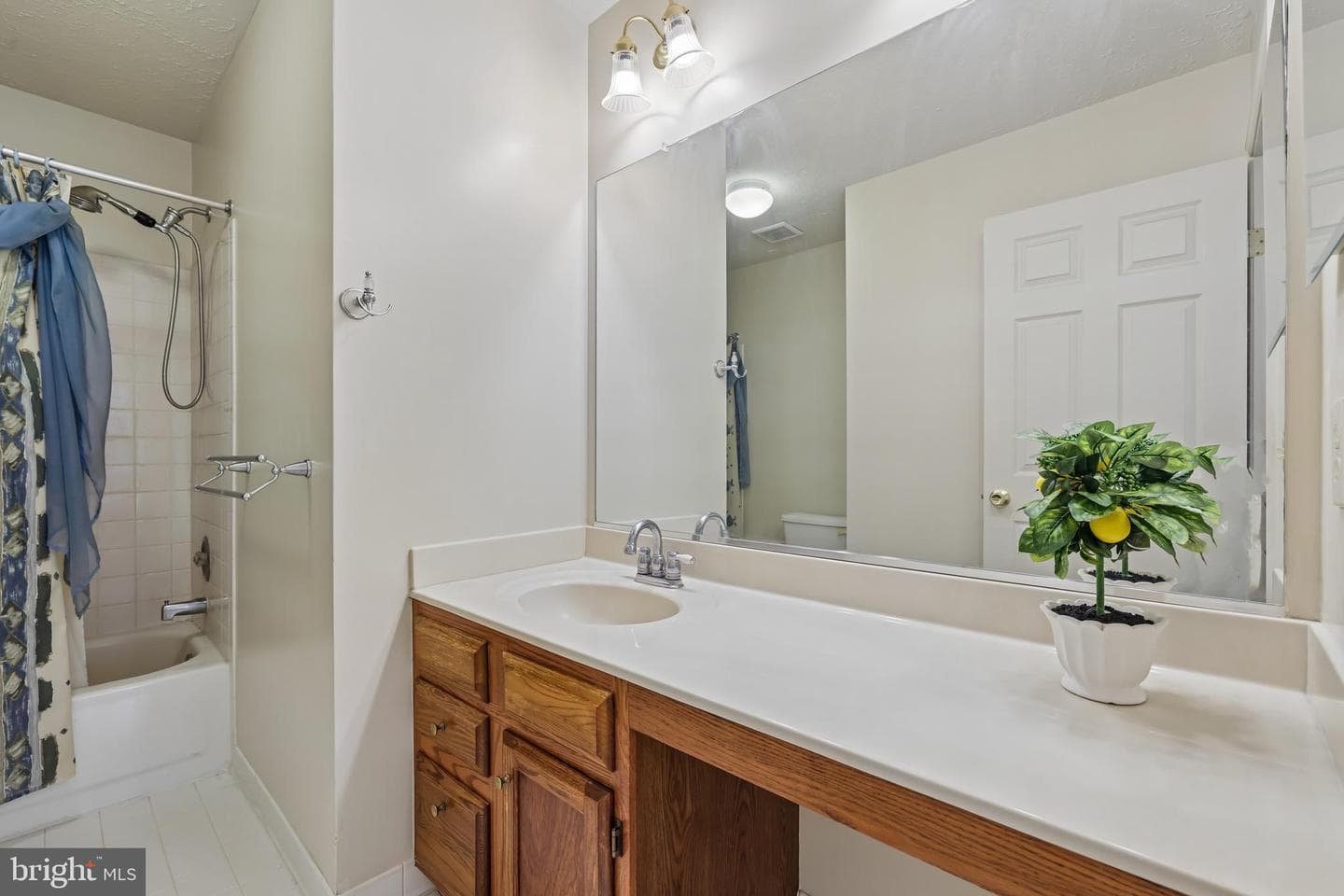 1 Chagall Ct photo 36