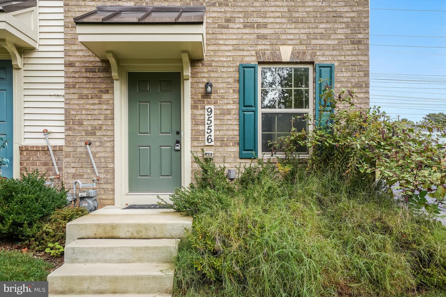 9556 Autumn Berry Place photo 47