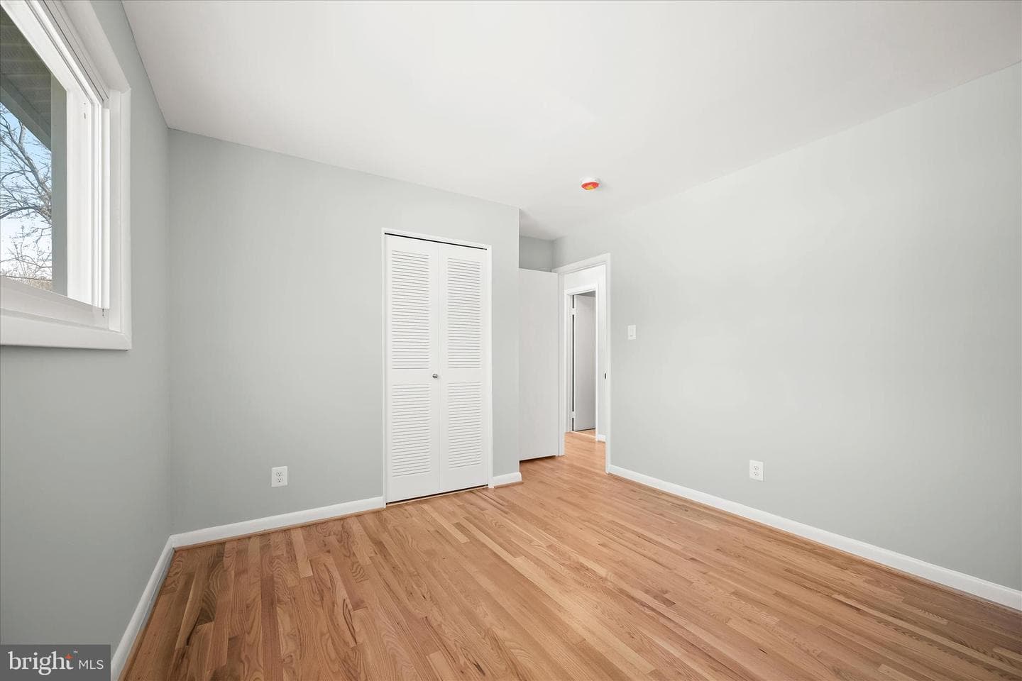 9720 Hedin Drive photo 41