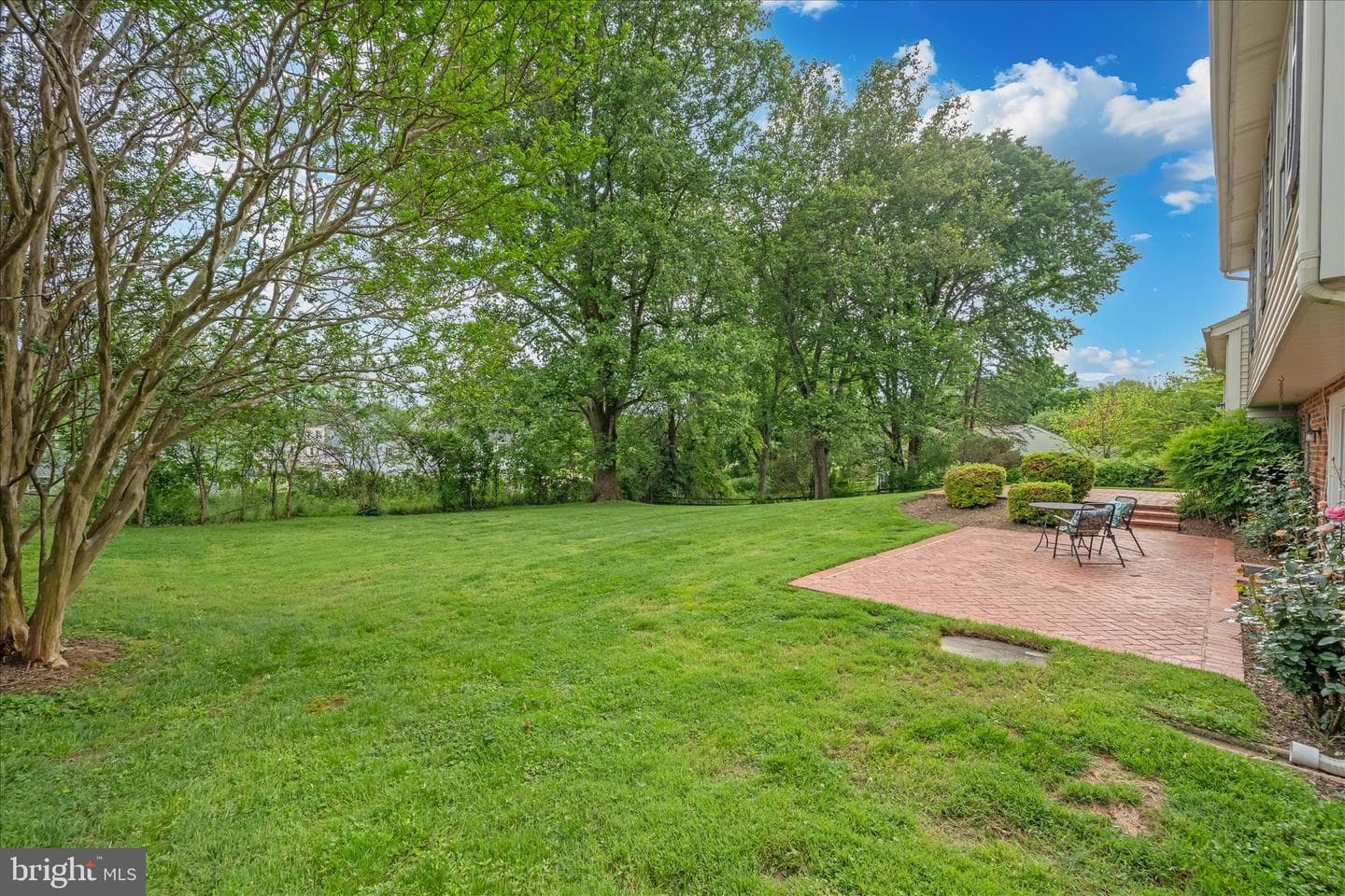 9924 Shrewsbury Court photo 61
