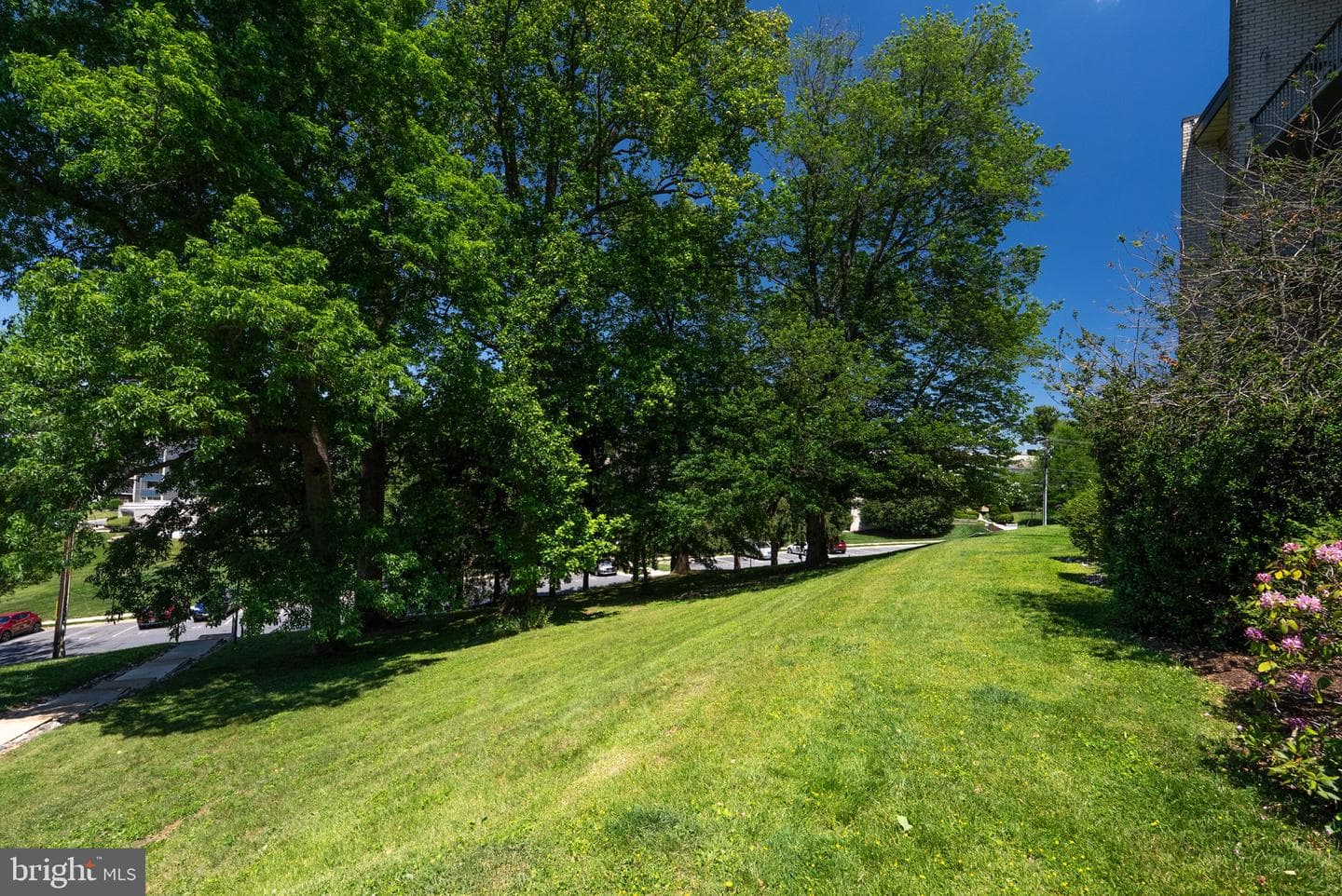 14624 Bauer Drive #1 photo 26