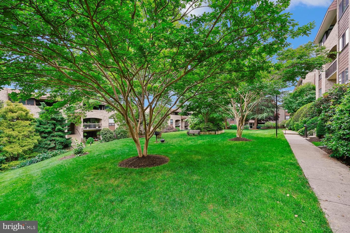 421 Christopher Avenue #14 photo 59