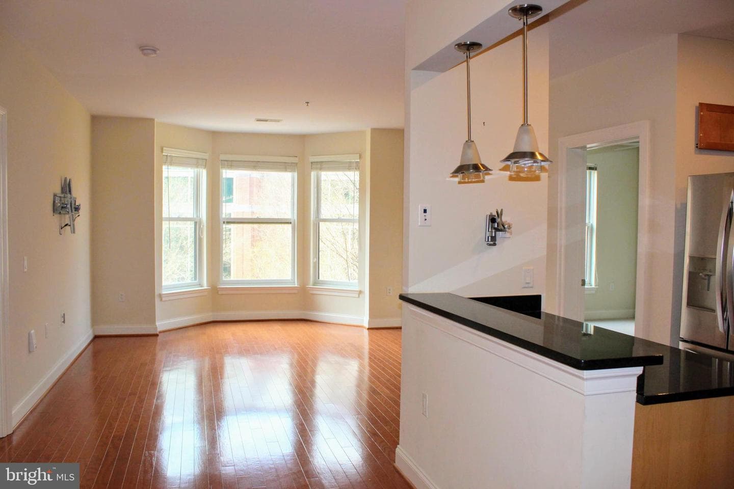38 Maryland Avenue #335 photo 2