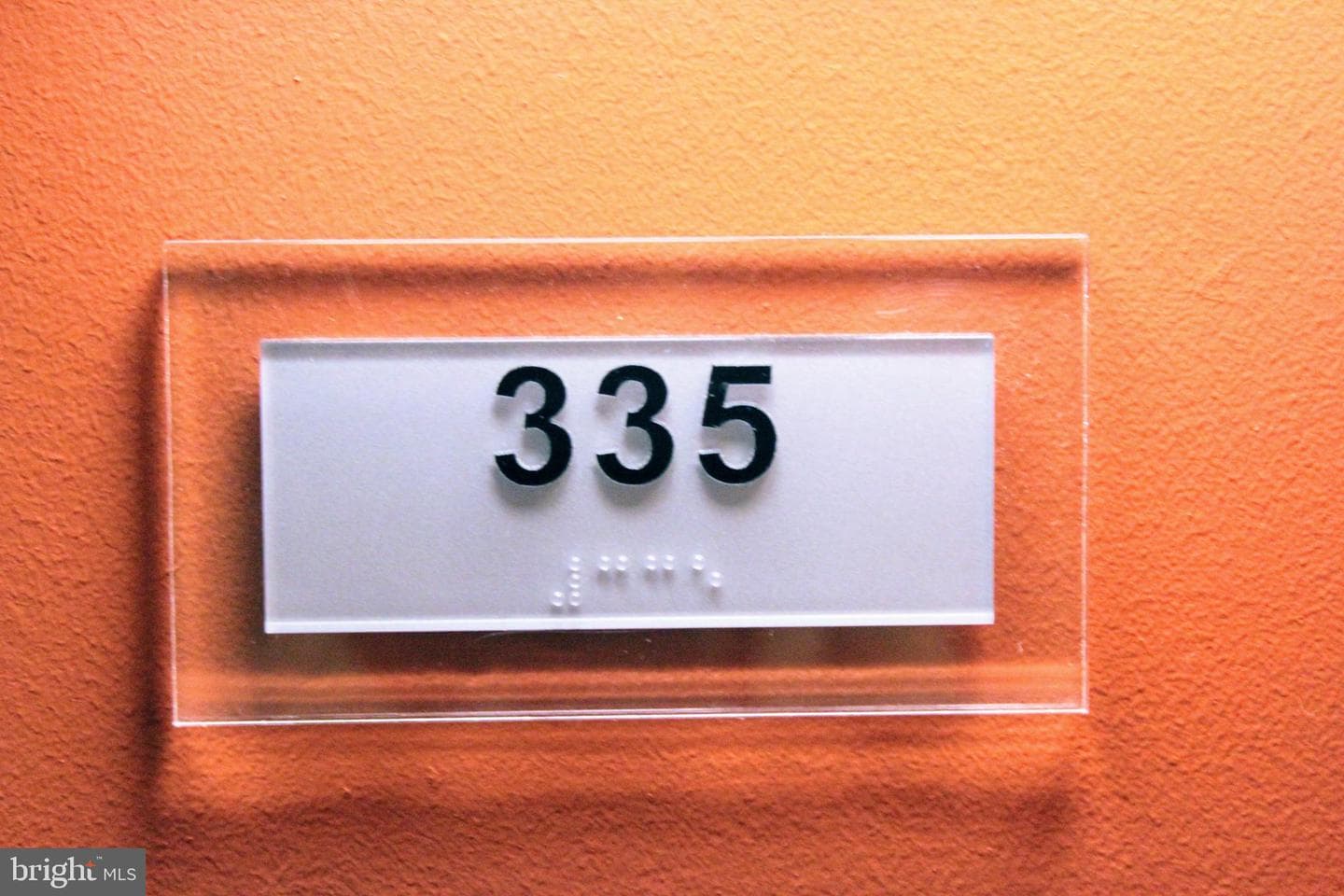 38 Maryland Avenue #335 photo 8