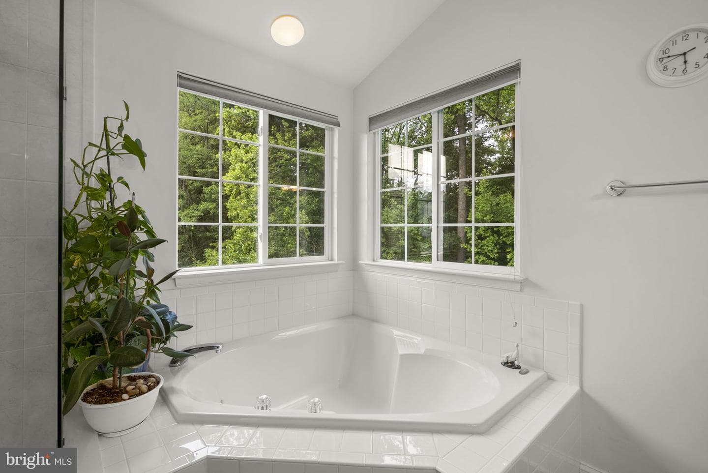 4012 Cotton Tree Lane photo 24