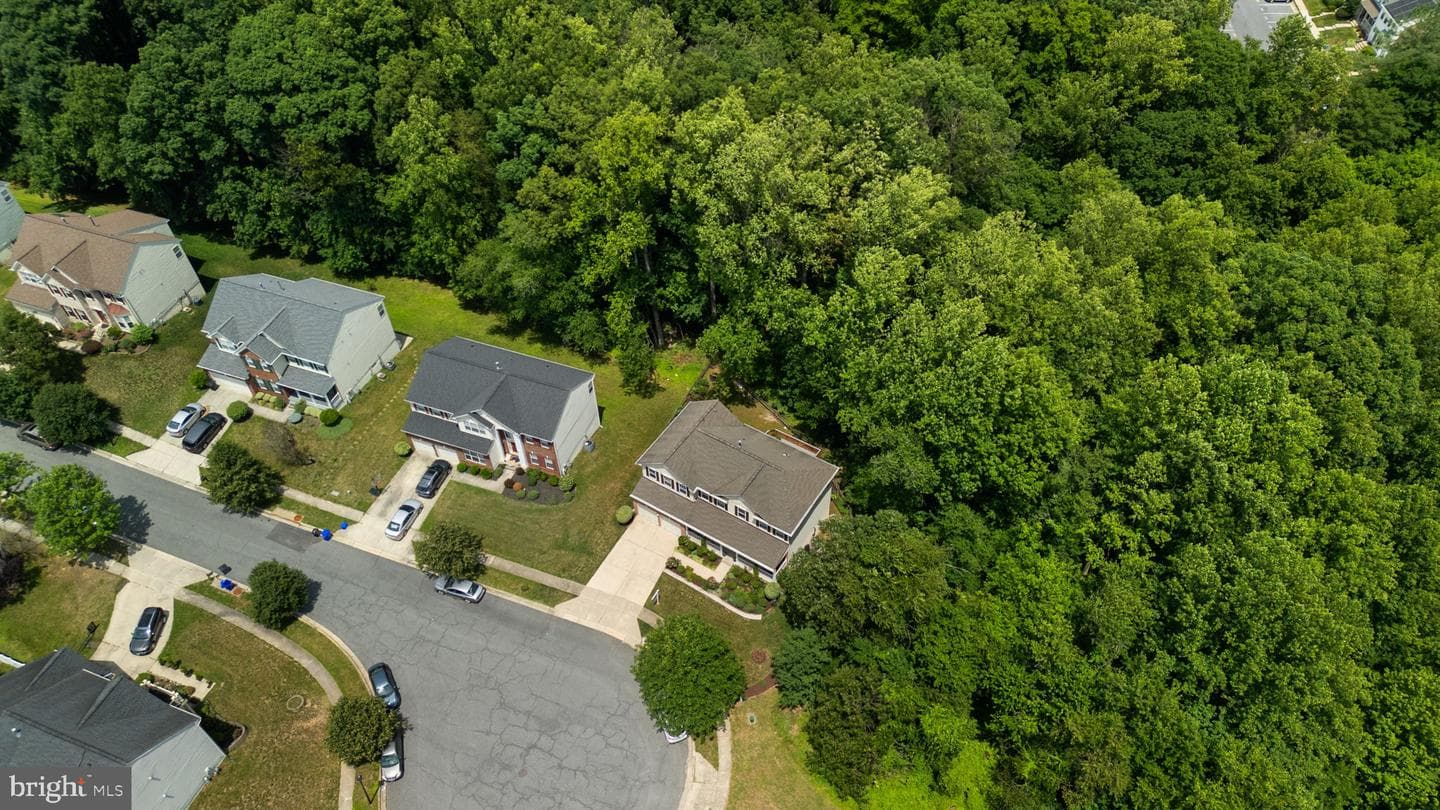 4012 Cotton Tree Lane photo 47