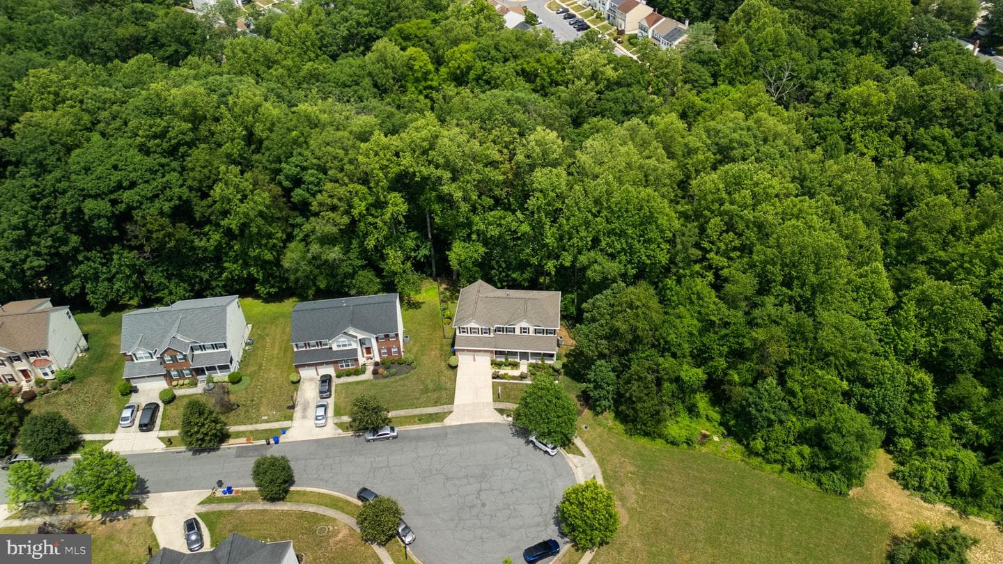 4012 Cotton Tree Lane photo 48
