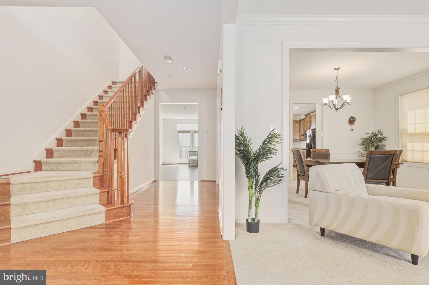 13621 Stargazer Lane photo 3