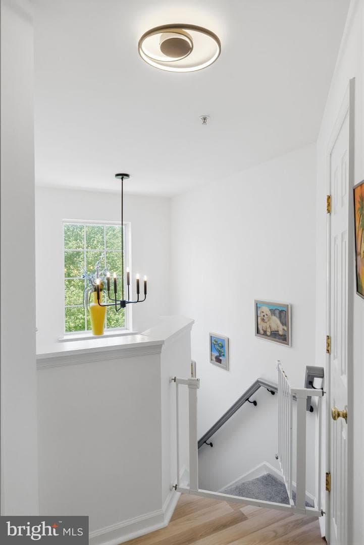 21123 Camomile Court #113 photo 44