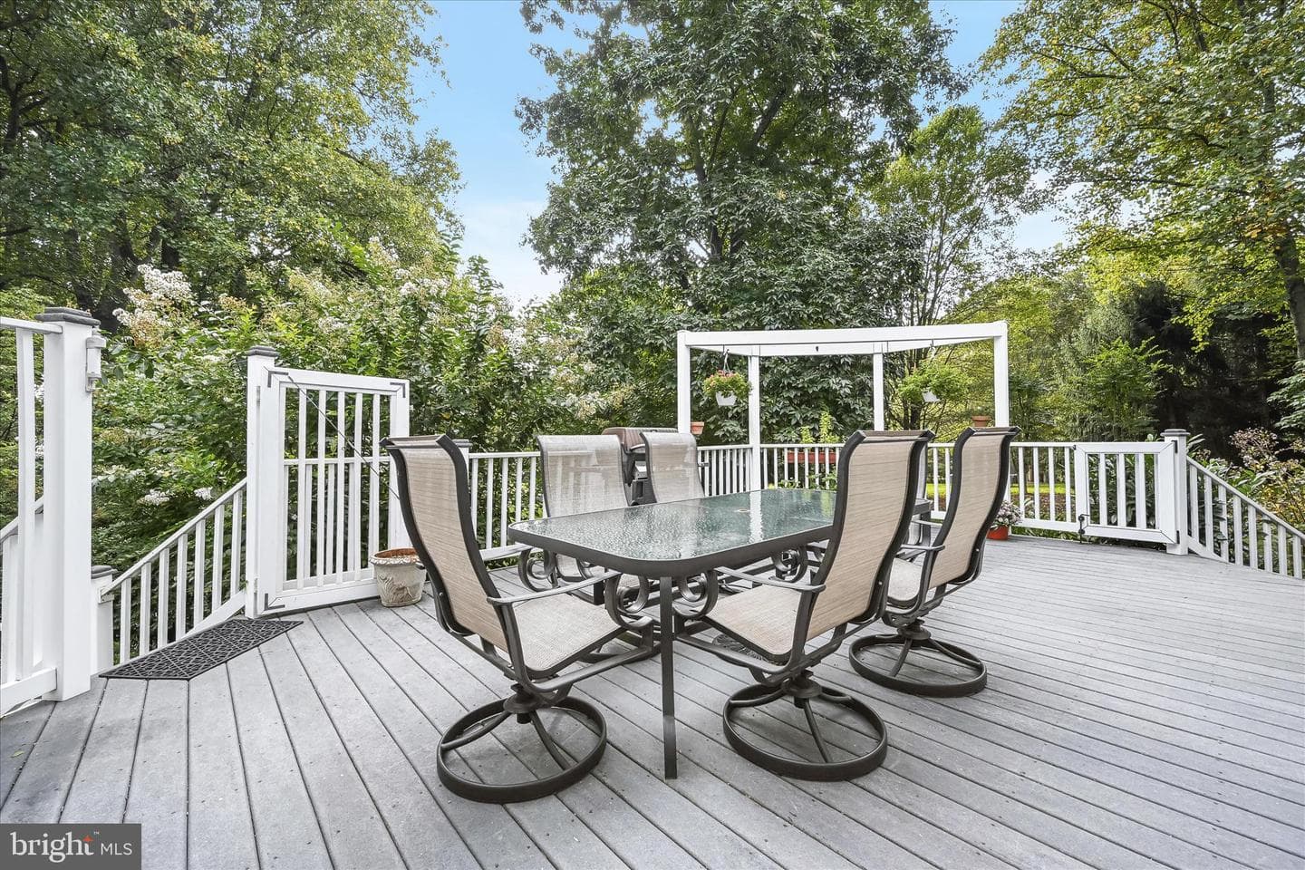20521 Riggs Hill Way photo 10