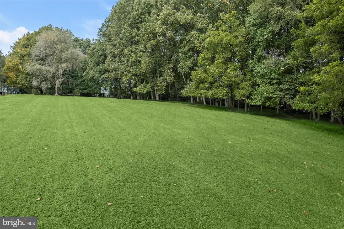 20521 Riggs Hill Way photo 109