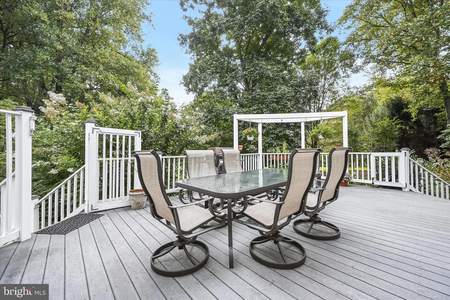 20521 Riggs Hill Way photo 59