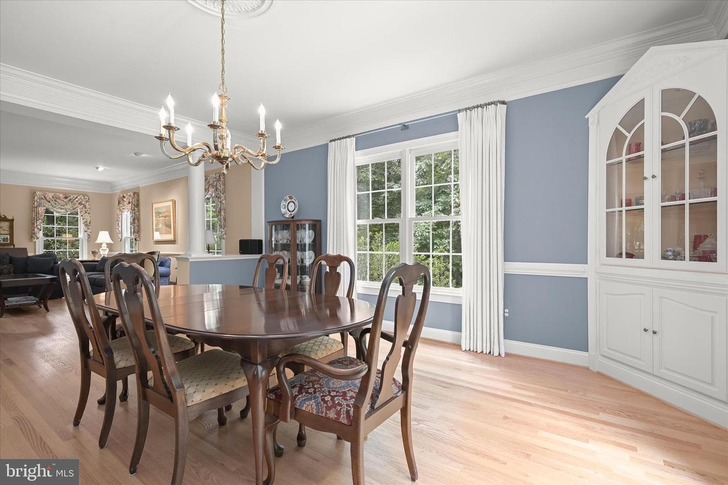 20521 Riggs Hill Way photo 67