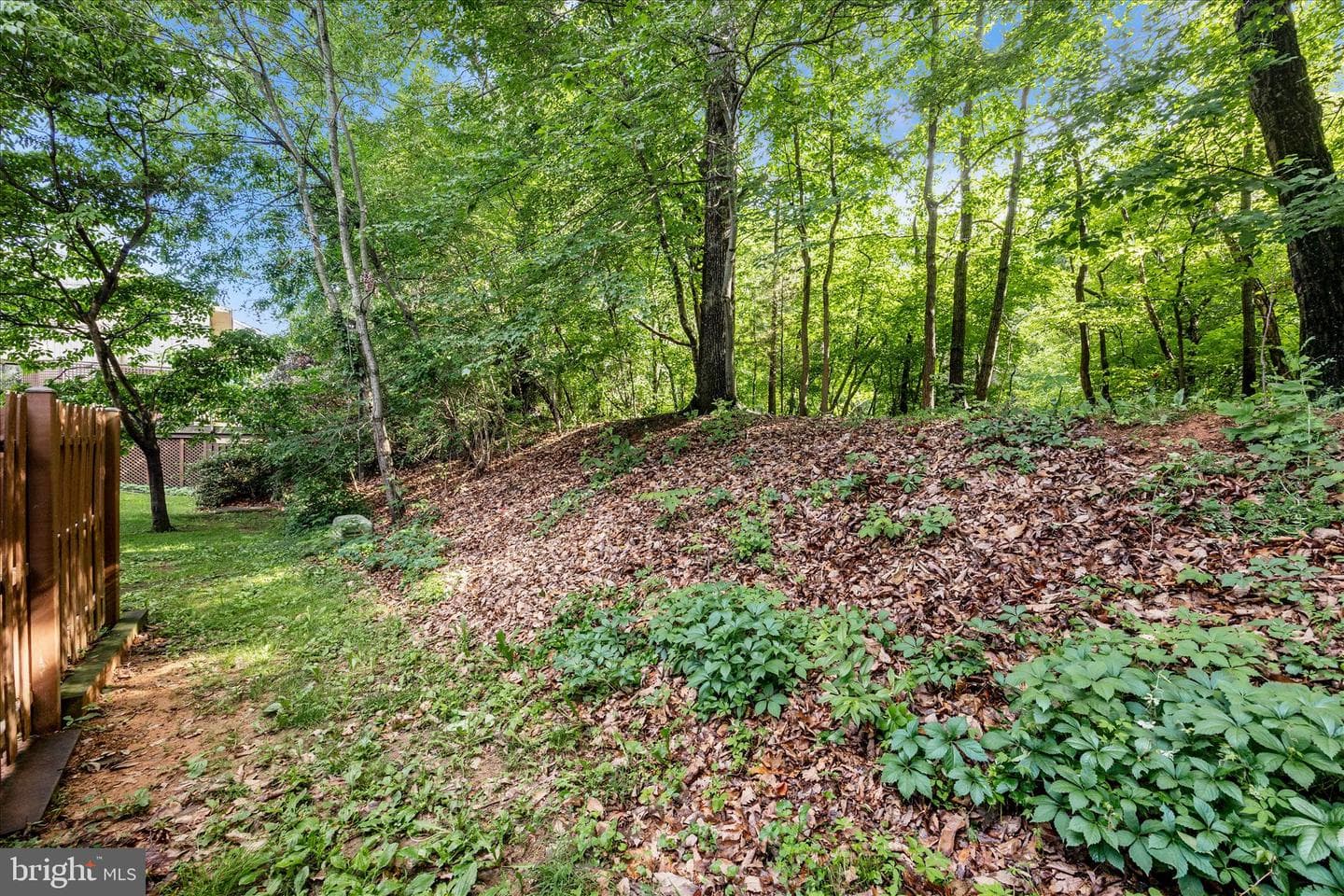 18507 Eagles Roost Drive photo 35