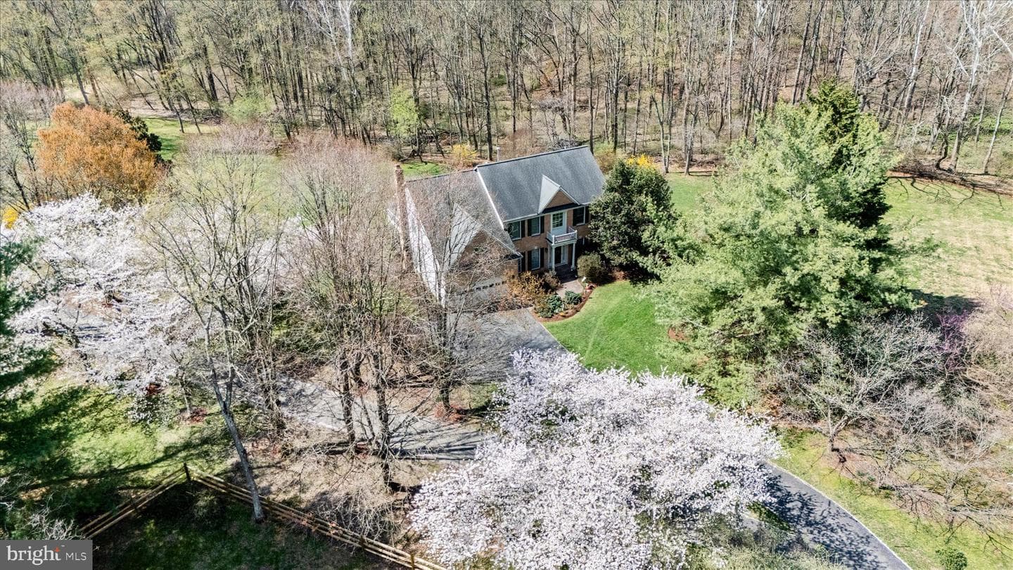 19808 Falling Spring Court photo 45