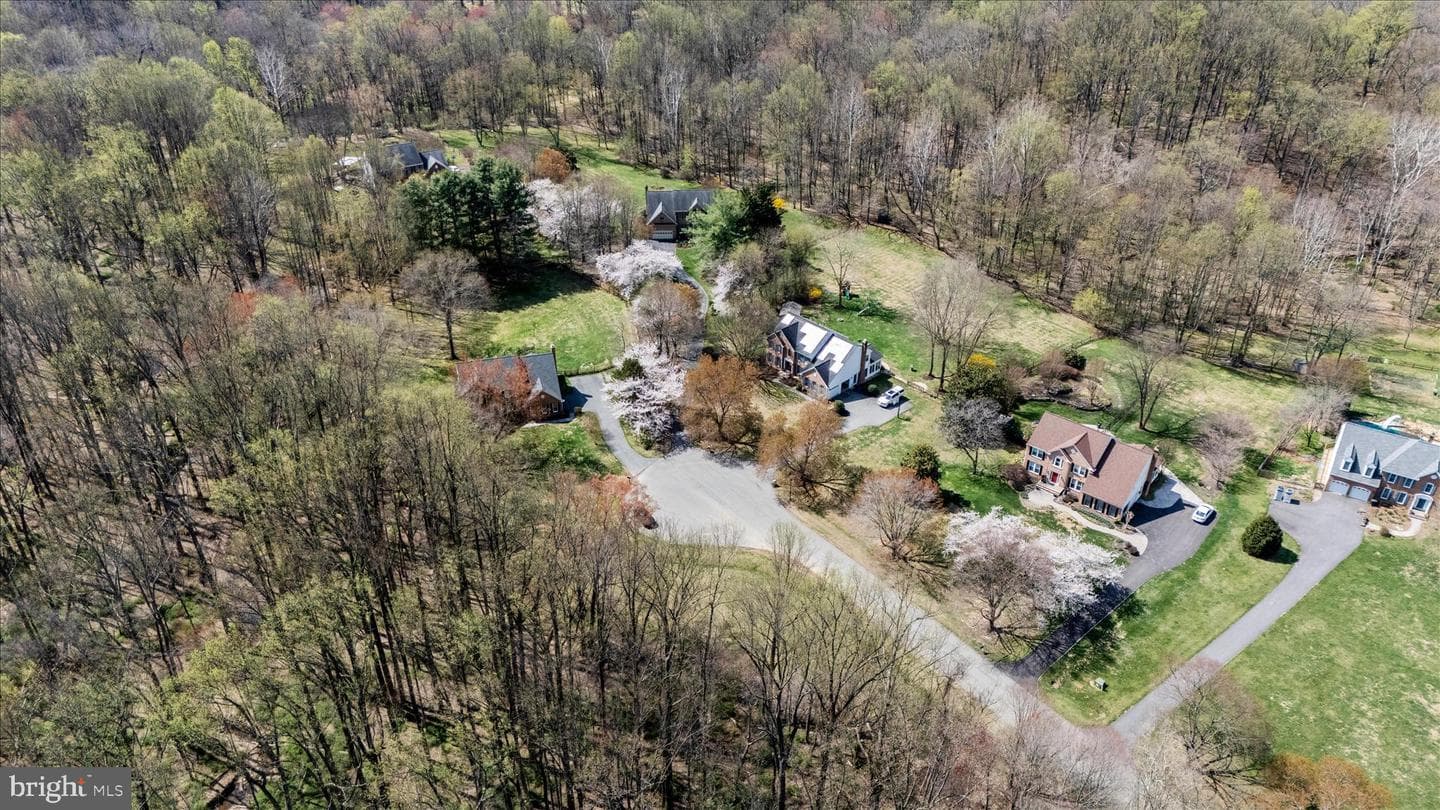 19808 Falling Spring Court photo 51