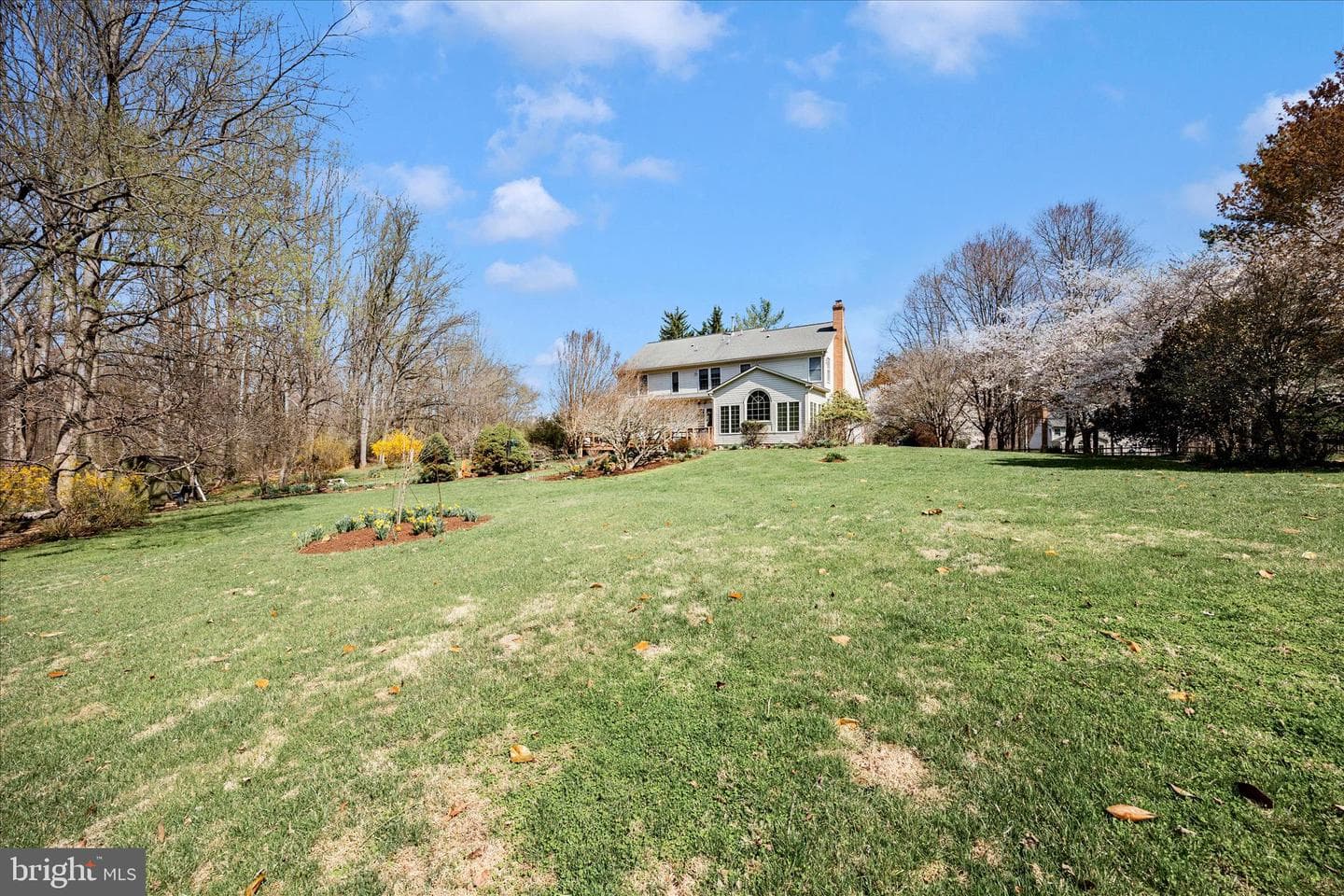 19808 Falling Spring Court photo 62