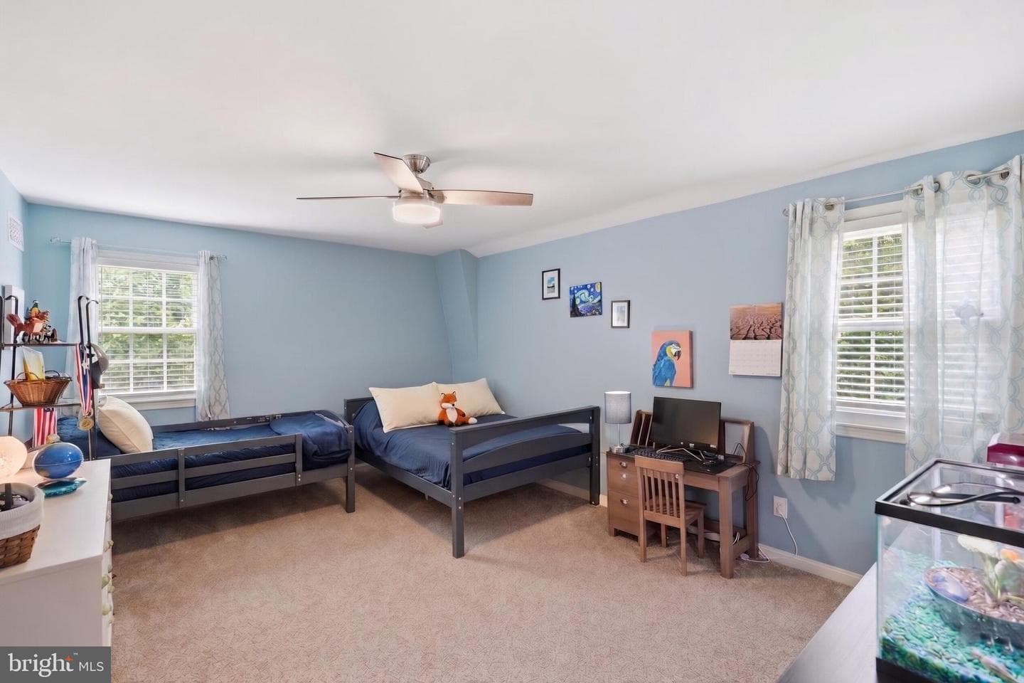 4716 Hornbeam Drive photo 25