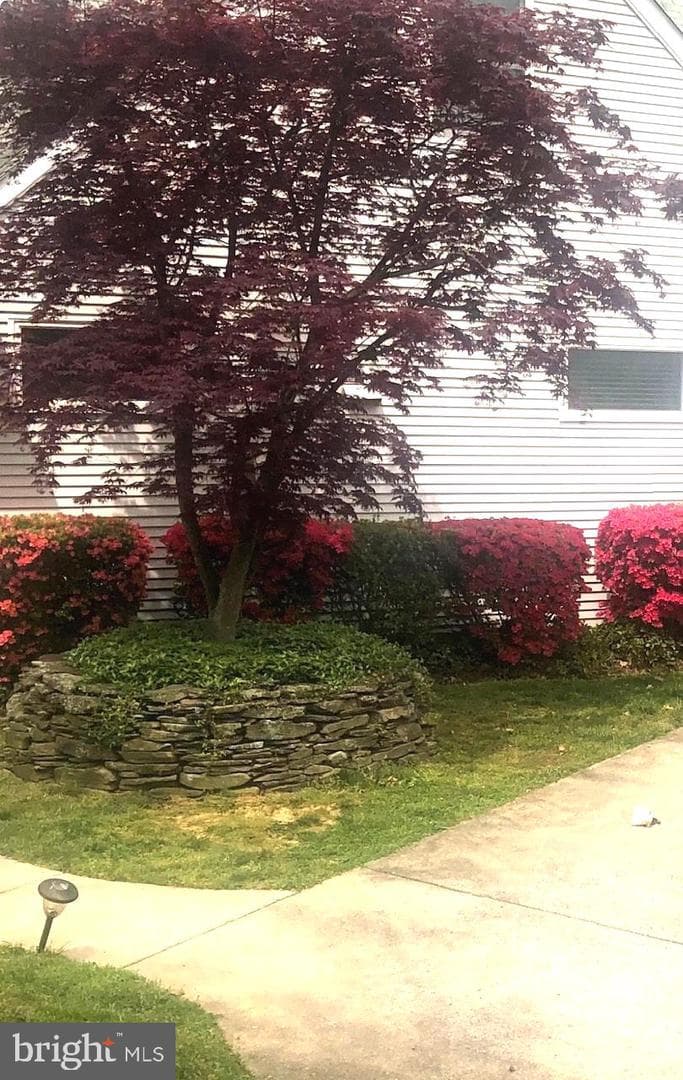 5915 Halsey Road photo 42