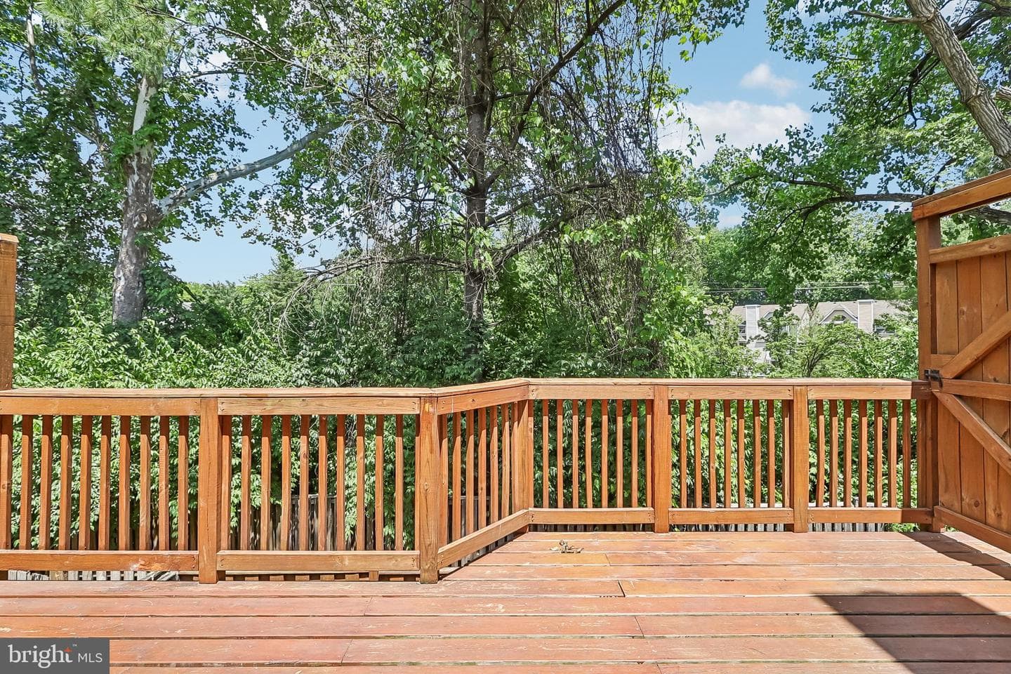10617 Pine Haven Terrace photo 59