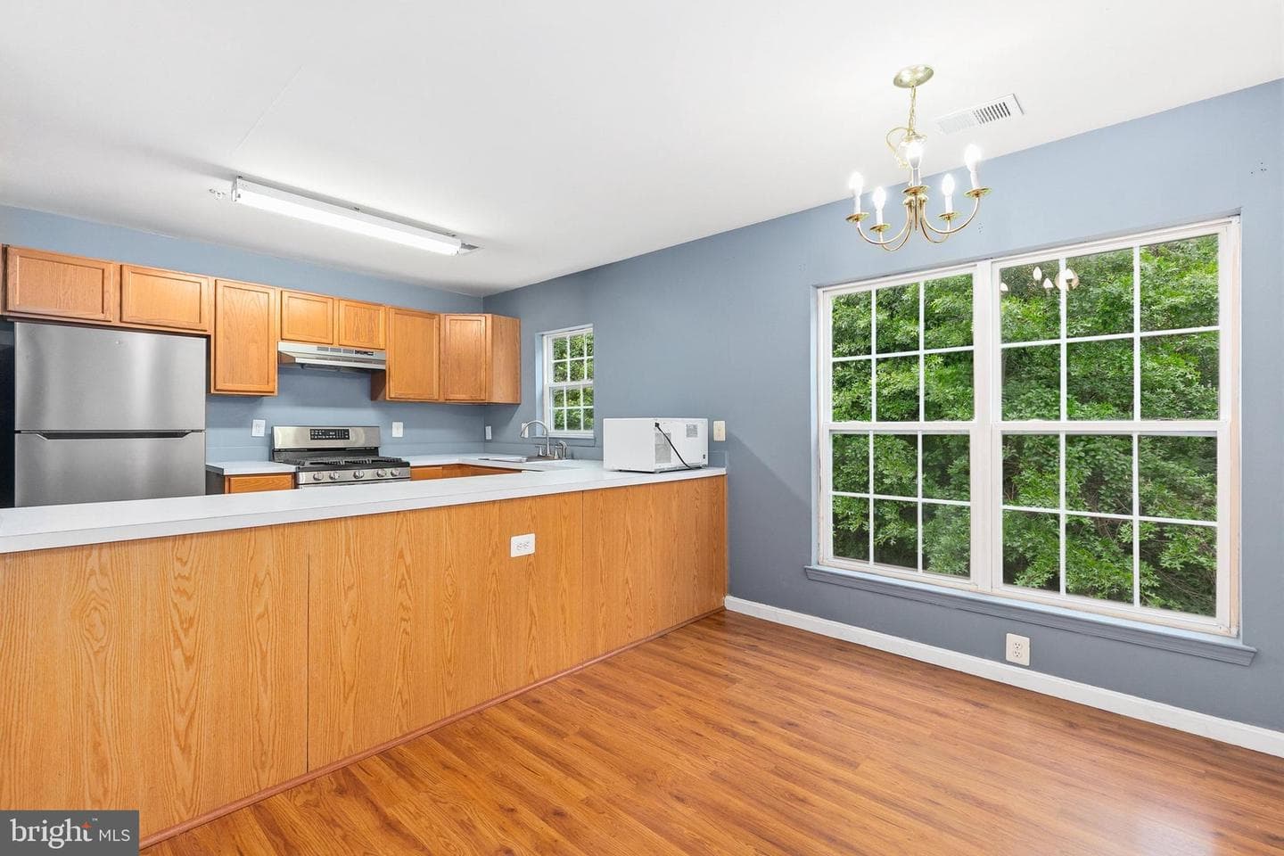 10470 Damascus Park Ln photo 10