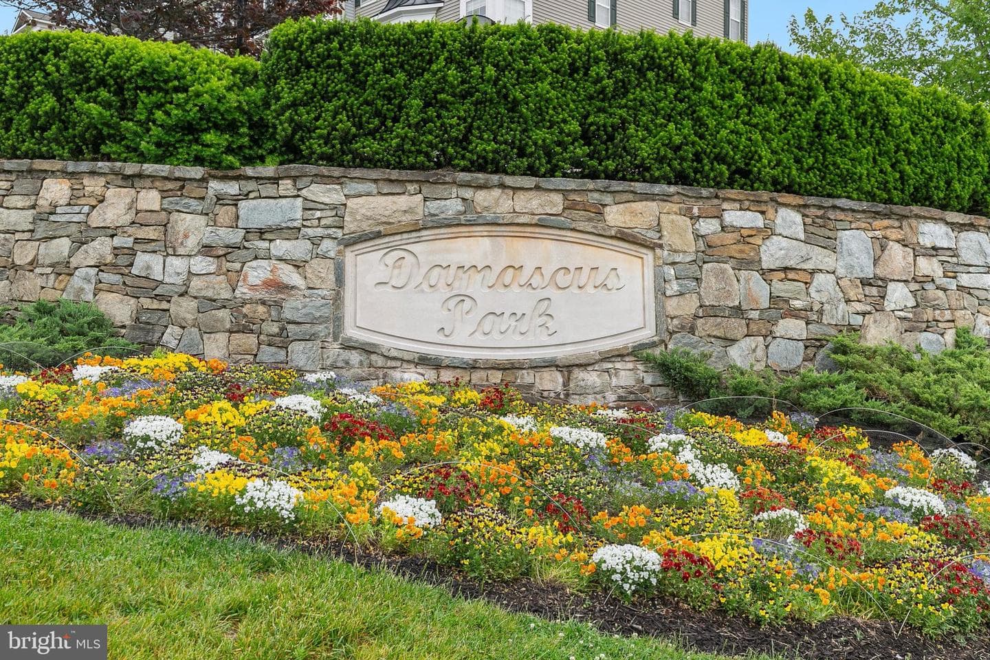 10470 Damascus Park Ln photo 27