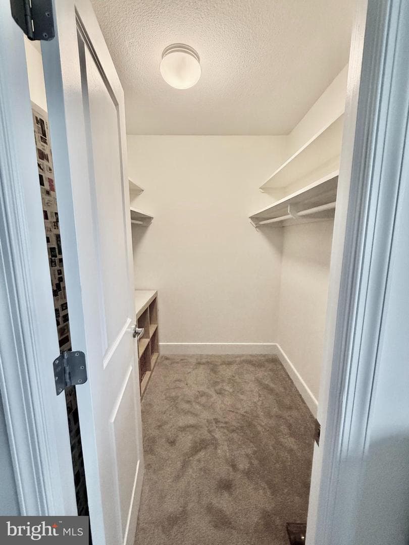 1220 Blair Mill Road #905 photo 12