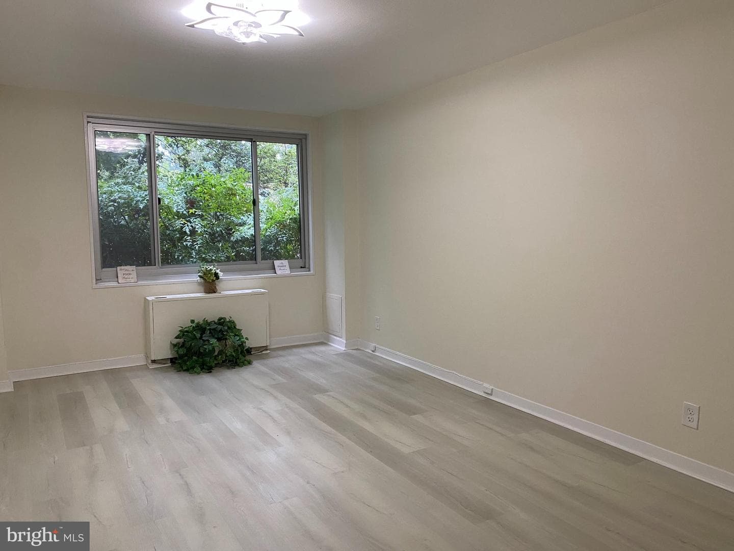 1900 Lyttonsville Road #114 photo 5