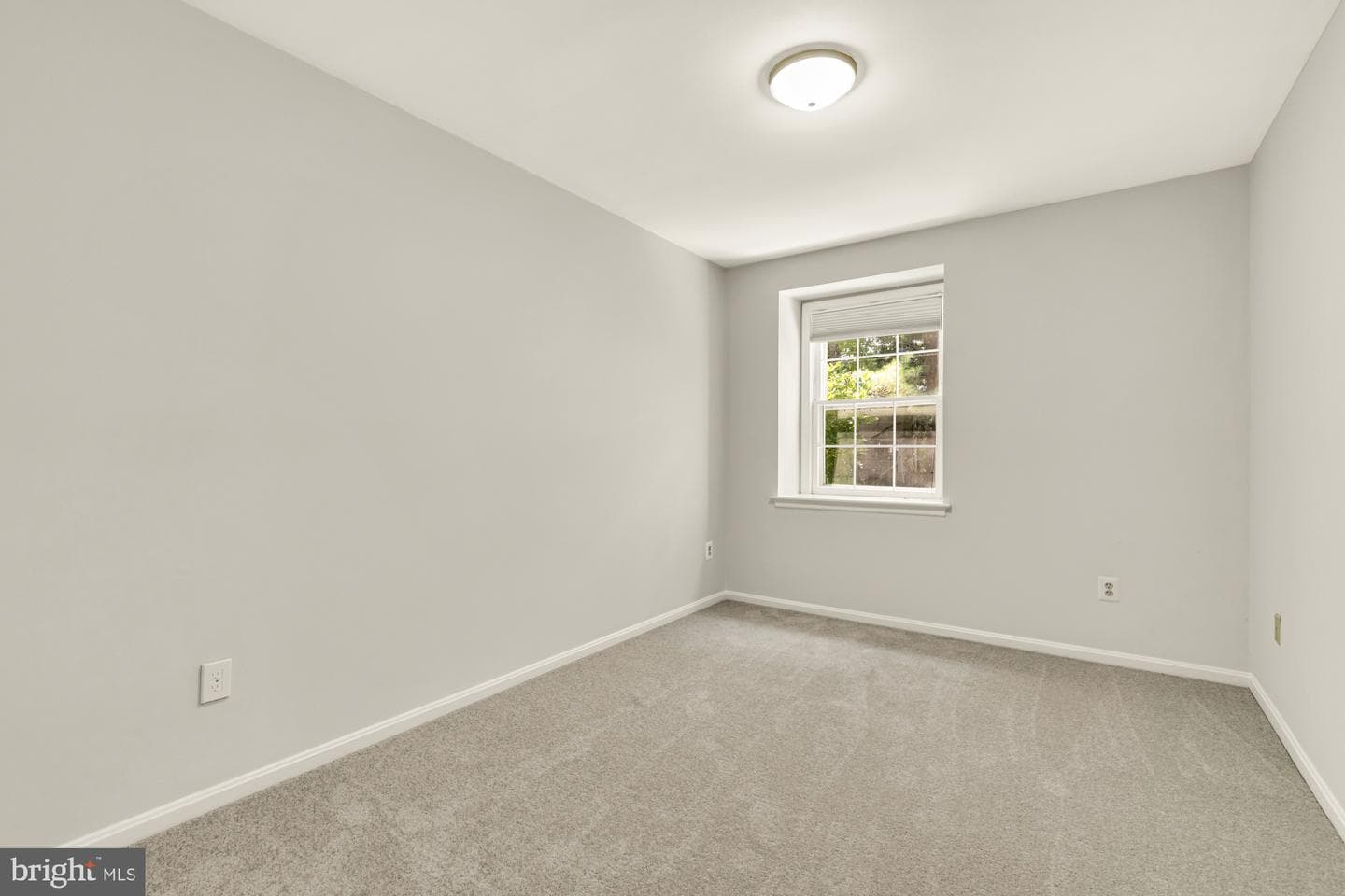 8 Sangamore Court photo 23