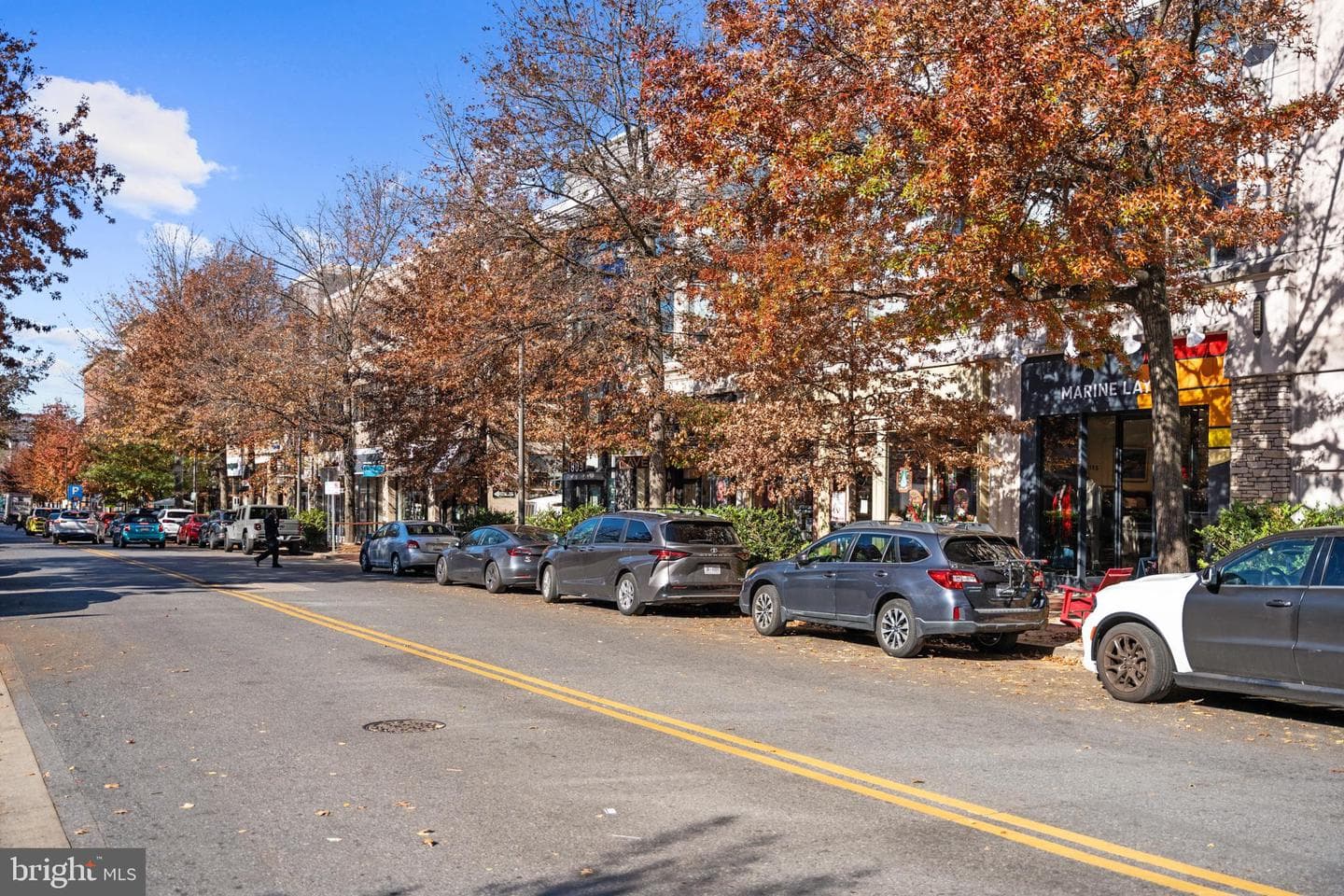 7111 Woodmont Avenue #709 photo 57