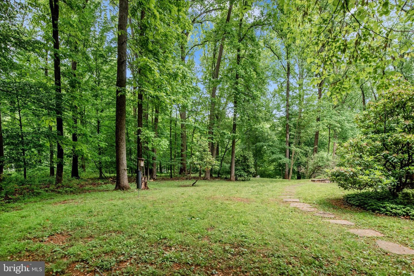 2221 Gold Mine Road photo 53
