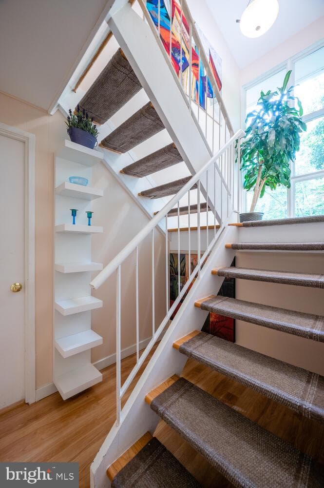 8313 Still Spring Court photo 22