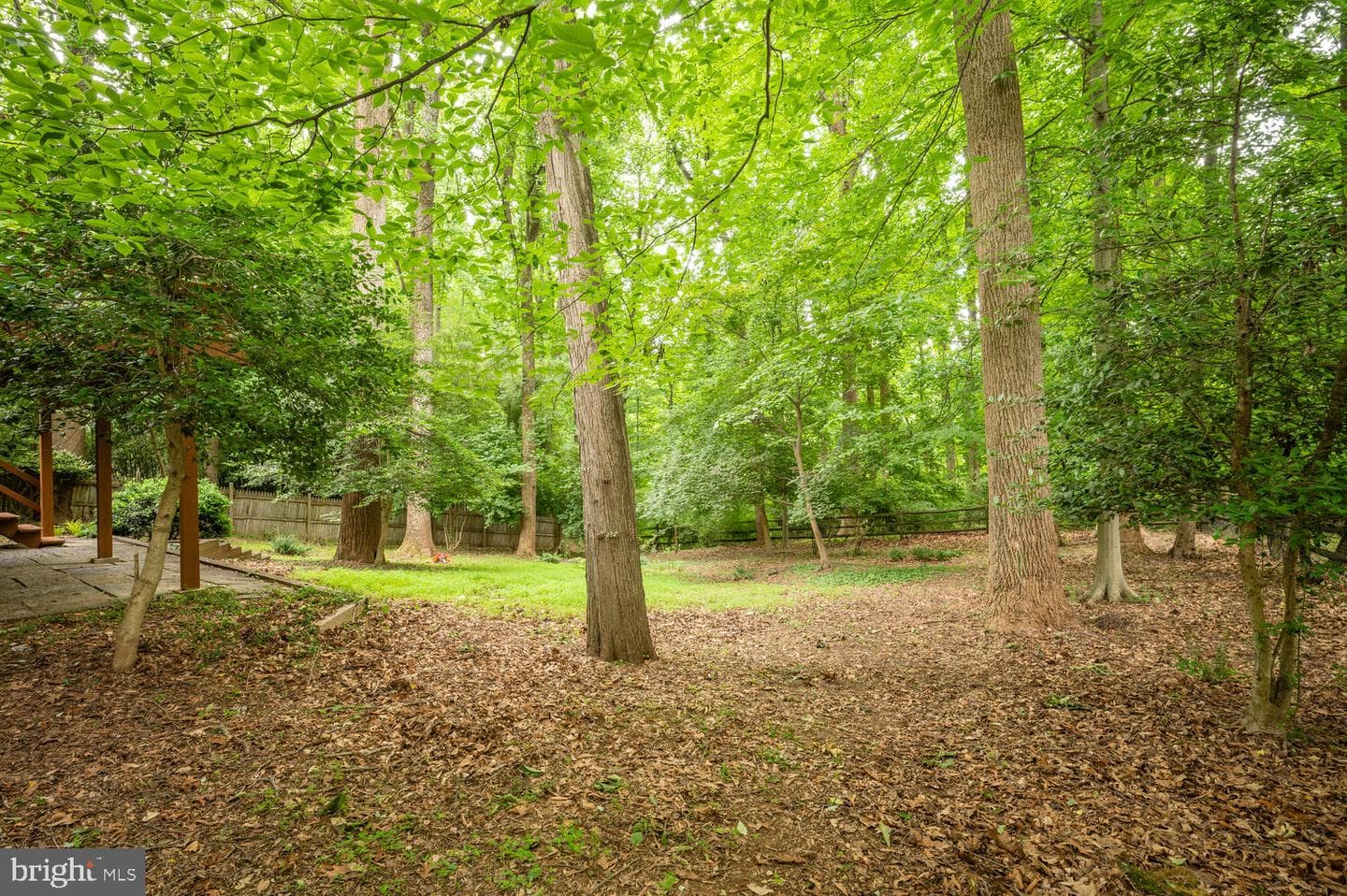 8313 Still Spring Court photo 36