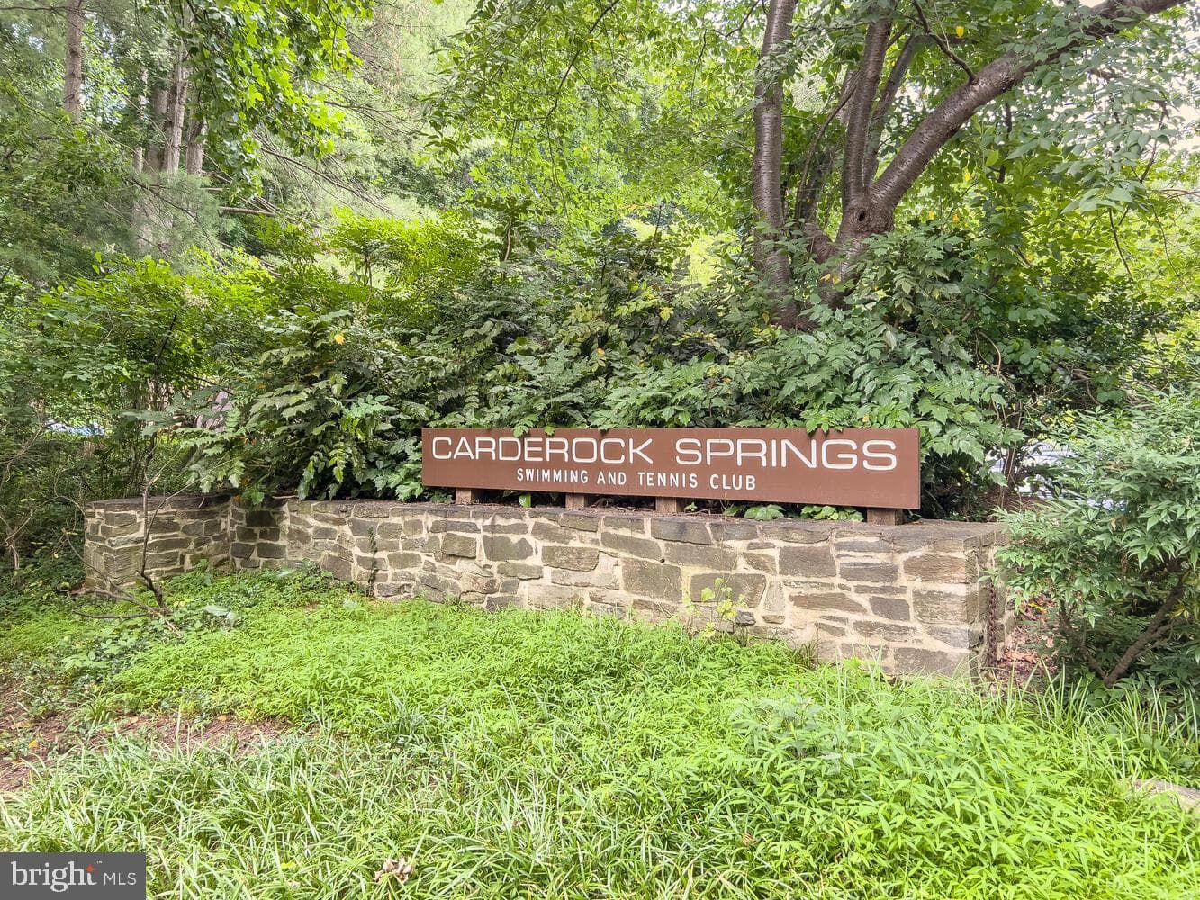 8313 Still Spring Court photo 37