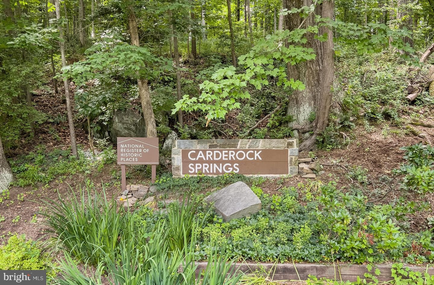 8313 Still Spring Court photo 39