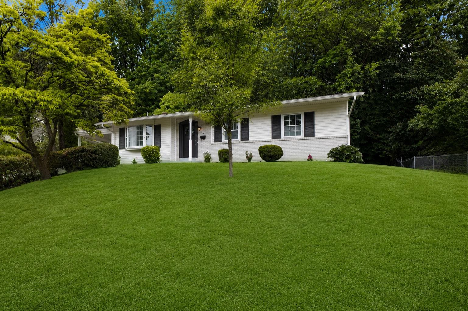 14419 Bauer Drive photo 39