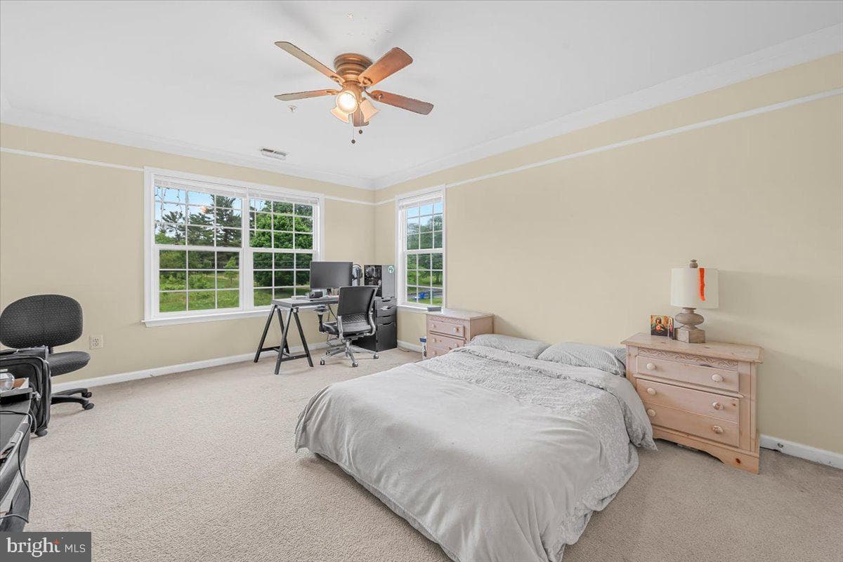 26313 Mullinix Mill Road photo 35