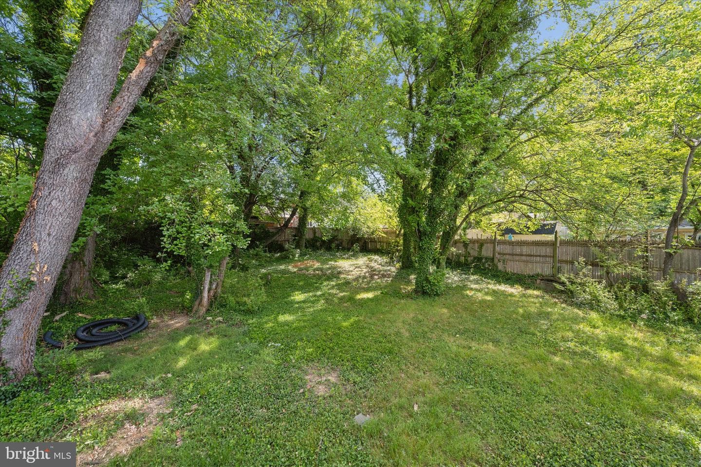 10607 Lilac Place photo 46